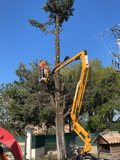 Utilisation d'une nacelle pour abattre un arbre sans dégât.